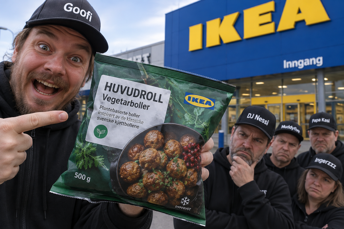 Goofi tok med seg dette hjem fra IKEA – nå rister DJ Nessi på hodet